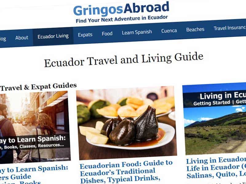 gringos abroad merger